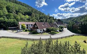Vor lauter Bäumen B&B